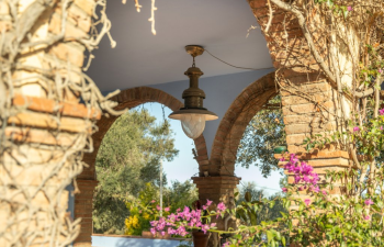 Finca rústica en venda al Camí Sant Feliu