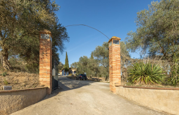 Finca rústica en venda al Camí Sant Feliu