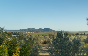 Finca rústica en venda al Camí Sant Feliu